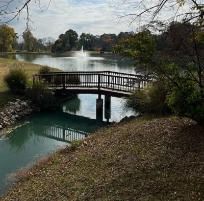 Bridge over pond